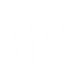 Liquid Gold, 10ml 3-Pack – REGULATION Poppers